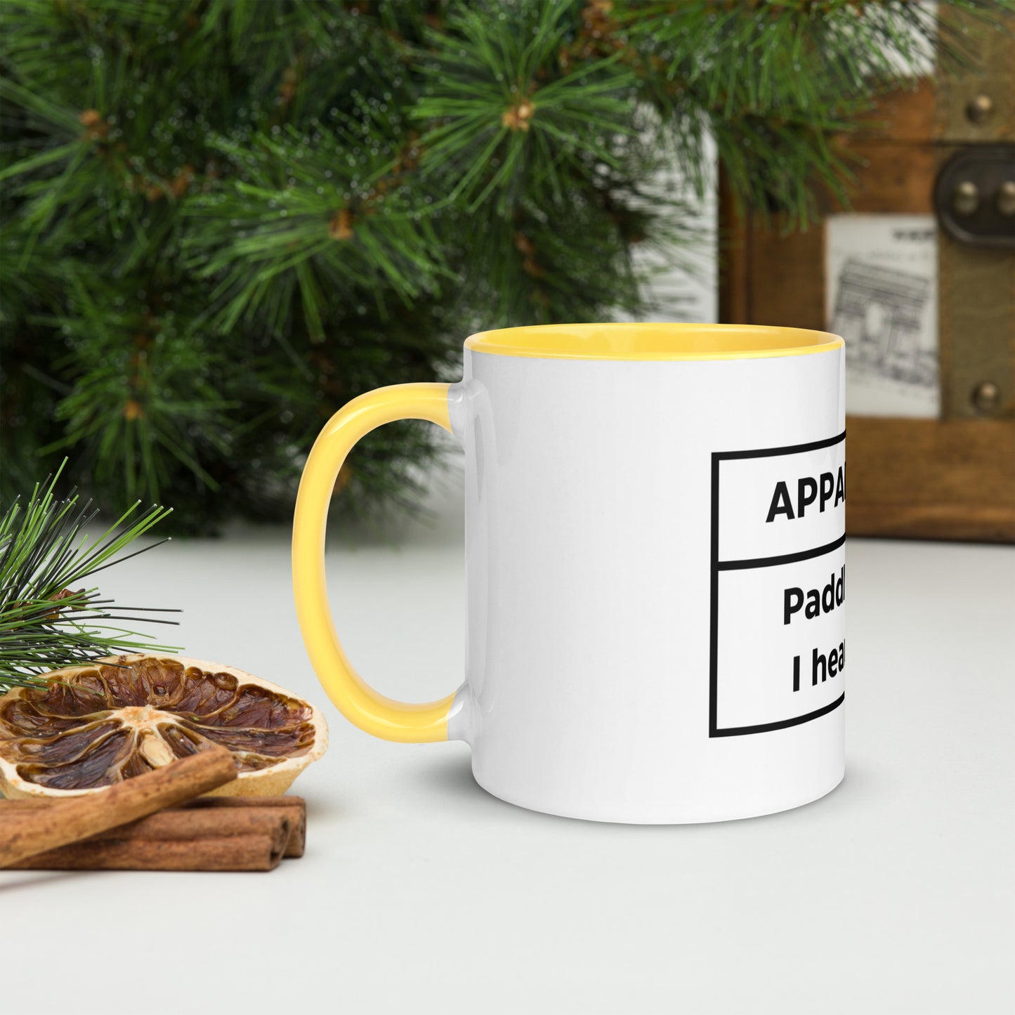 Appalachian Banjos Mug with Colour Inside
